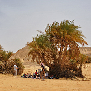 Ain El Maqfi